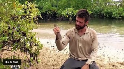 Finale de Koh-Lanta 2025 : Le gagnant tout désigné et de loin ! La rédaction a voté