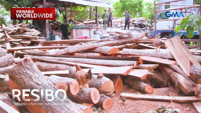 Furniture shop owner, walang permit galing sa DENR! | Resibo