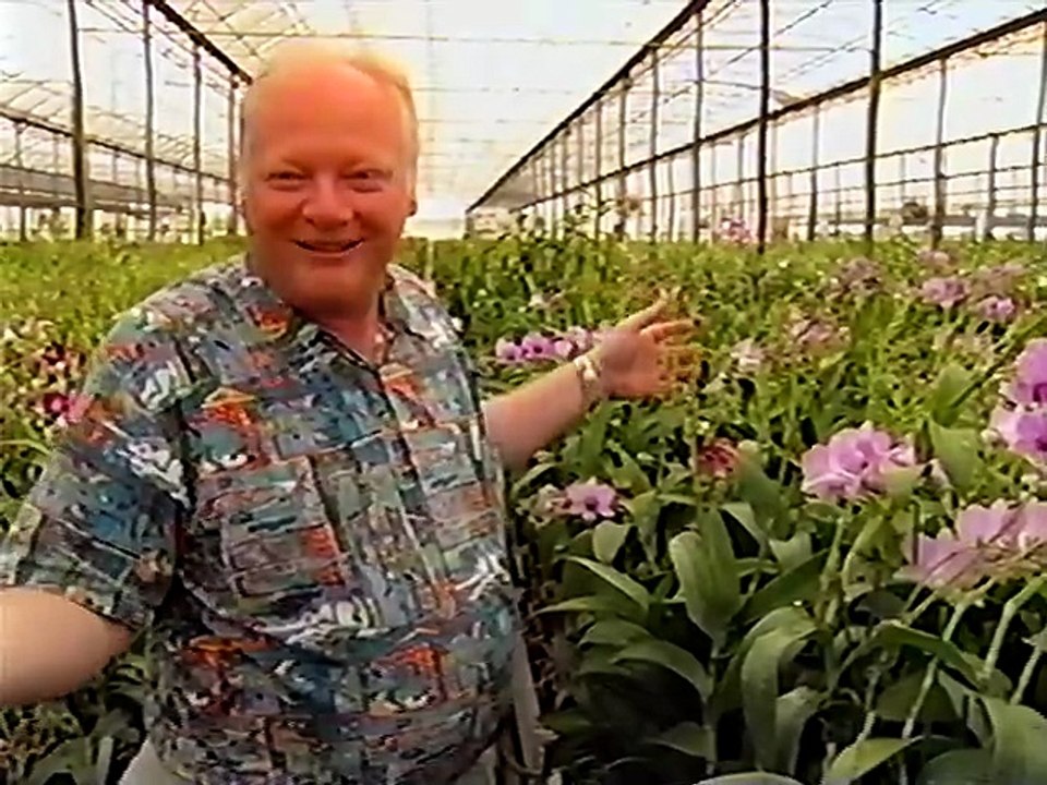 Orchid Hunter