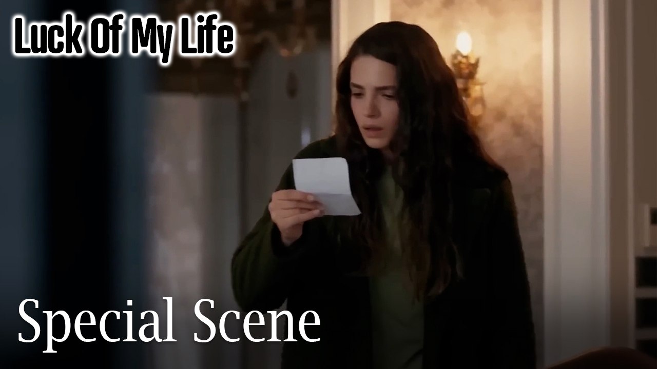 Special Scenes #6