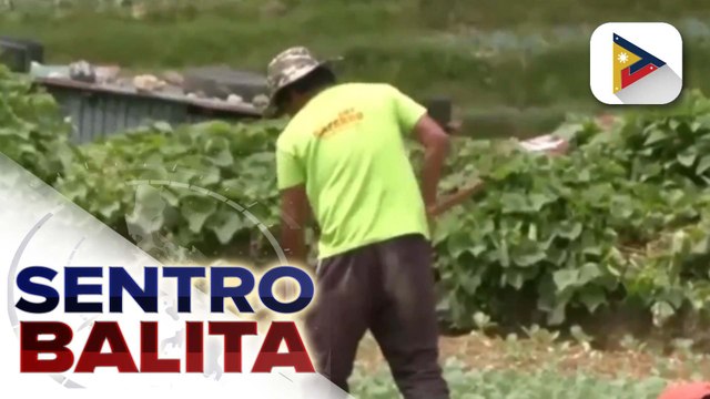 D.A., patuloy na nakabantay sa presyo ng agricultural commodities sa harap ng tensyon ng Israel at Iran