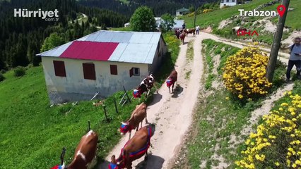 25 yıllık öğretmenin hayatı değişti! Sosyal medyada paylaştı ünlü oldu
