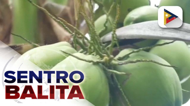 Coconut-based foods, ibibida ng PTV at PCA sa ‘Sarap Pinoy with PCA’ segment sa RSP