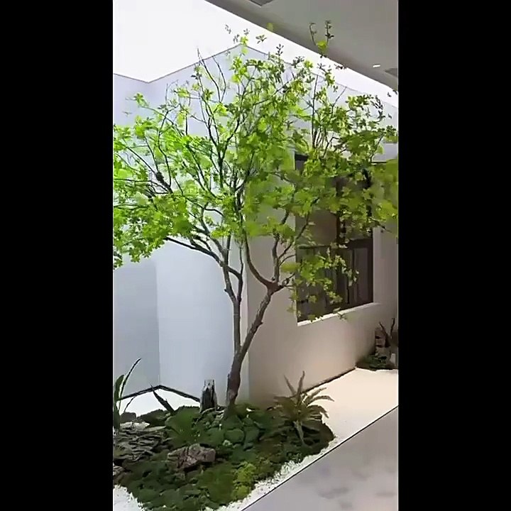 Tiểu cảnh cây thạch nam giả _ Xanhvina