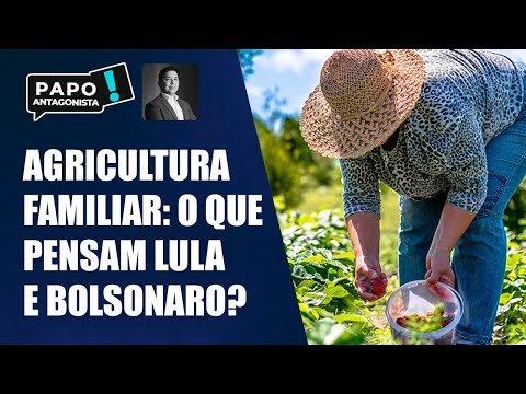 A importância da agricultura familiar: interlocutores das campanhas de Lula e Bolsonaro debatem