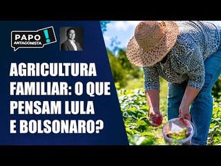 A importância da agricultura familiar: interlocutores das campanhas de Lula e Bolsonaro debatem