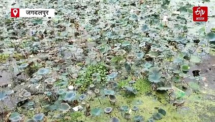 'पोंड मैन ऑफ इंडिया' करेंगे दलपत सागर को जिंदा, 400 साल पुराना इतिहास