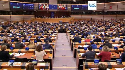 MAGA faz lóbi junto do Parlamento Europeu
