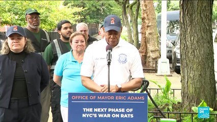 New York votes in mayoral primary as Cuomo seeks comeback