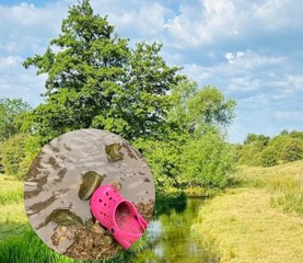 Watch as 'croc' found in river: Warning for Warsop beauty spot
