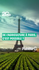 De l'agriculture en ville : c'est possible ?