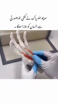 JOINTS ISLMIC VIDEO? HOW MAKE A JOINTS/ALLAH