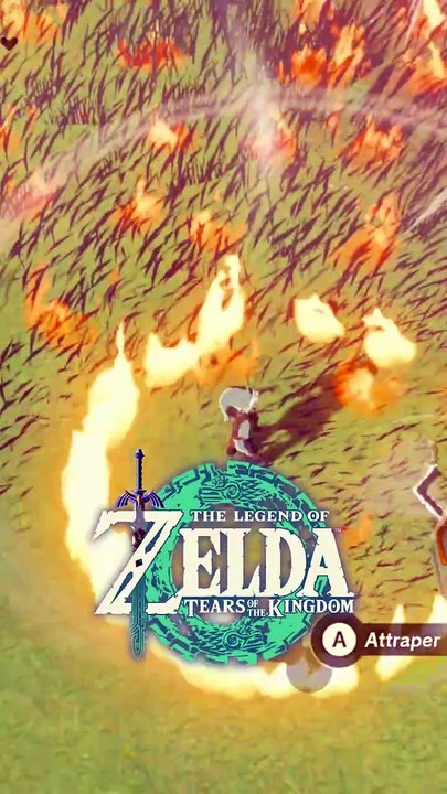 tornade de feu dans botw