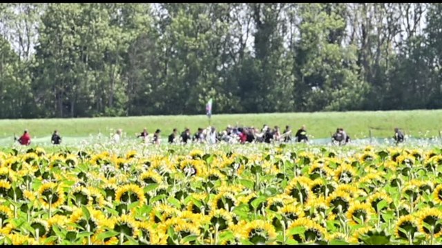 Vertice Nato, Extinction Rebellion tenta di bloccare strada aeroporto