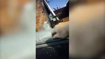 Gelo toma conta dos carros e moradores encaram -2,4ºC na manhã gelada