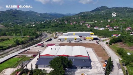 Ordu'da çığır açan proje: Fındık kabuğundan üretilecek, bölge ekonomisine güç katacak