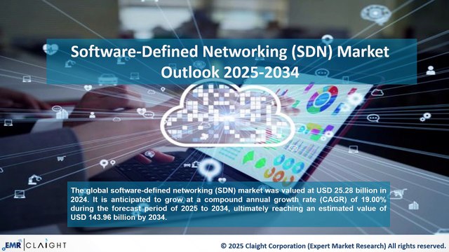 Software-Defined Networking (SDN) Market Report & Analysis by 2034