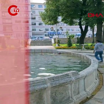 Havuza düşen kargayı kurtarmaya çalıştı: Diğer kargaların saldırısına uğradı!