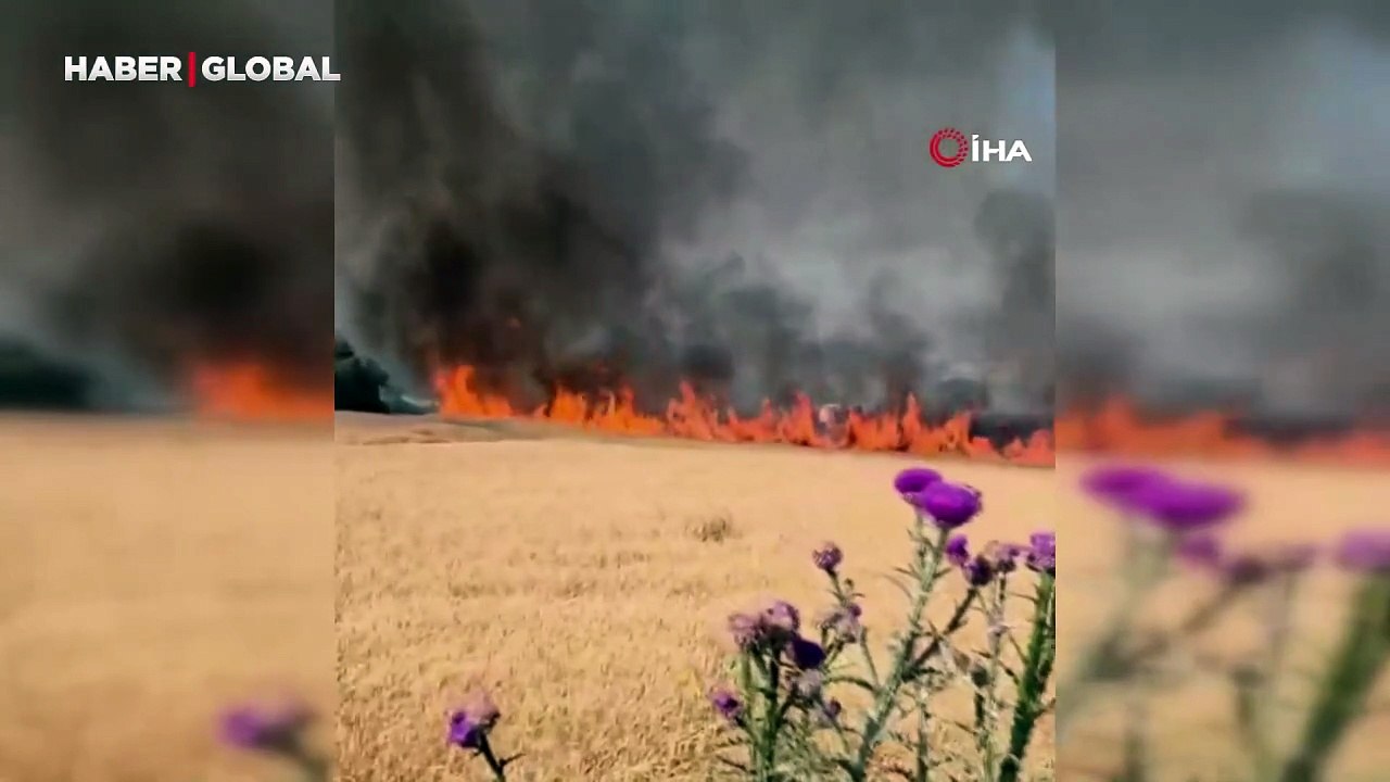 Susurluk-Bandırma kara yolunda tarla yangını