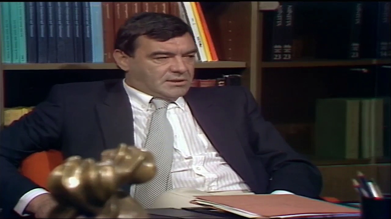 Bolji život (1987-1991) – Epizoda 23 – Domaća serija