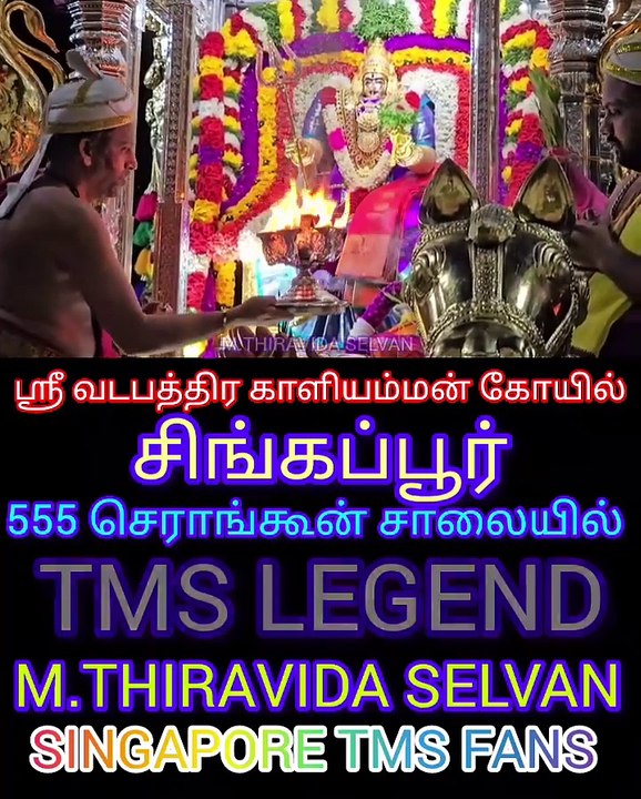 ஸ்ரீ வடபத்திர காளியம்மன் கோயில் சிங்கப்பூர் M.THIRAVIDA SELVAN SINGAPORE TMS FANS