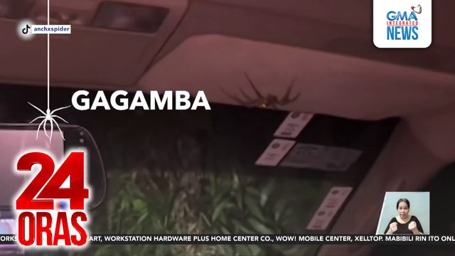 Gagamba, tila naki-joyride sa roadtrip ng magbabarkada sa Bulacan | 24 Oras
