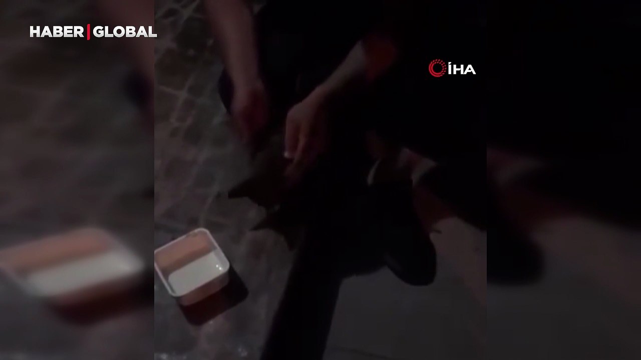 Kalbi duran yavru kediye yürek ısıtan kalp masajı