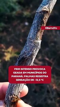 Frio intenso provoca geada em municípios do Paraná; Palmas registra sensação de -12,5 ºC