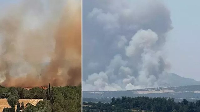 Çanakkale’nin Ezine ilçesinde orman yangını