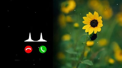Ringtone  Love Ringtone Hindi Ringtone Love Story Ringtone 2025 Mp3 Ringtone New Ringtone