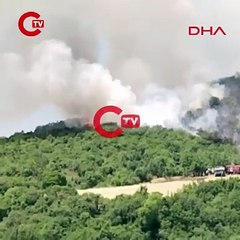 Bursa’da orman yangını: Karadan ve havadan müdahale!