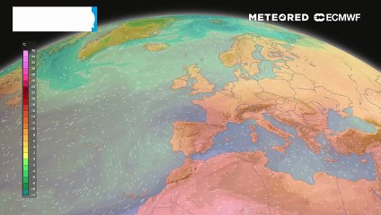 Com o aumento das temperaturas esperado para a reta final da semana, os níveis de pólen e poeiras vão aumentar também em Portugal