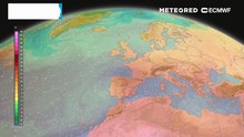 Com o aumento das temperaturas esperado para a reta final da semana, os níveis de pólen e poeiras vão aumentar também em Portugal
