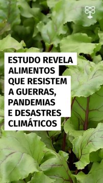 Estudo revela alimentos que resistem a guerras, pandemias e desastres climáticos