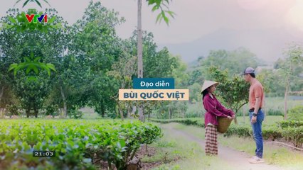 Dịu Dàng Màu Nắng Tập 16 - Phim Truyền Hình Việt Nam VTV1 | Phim Hay