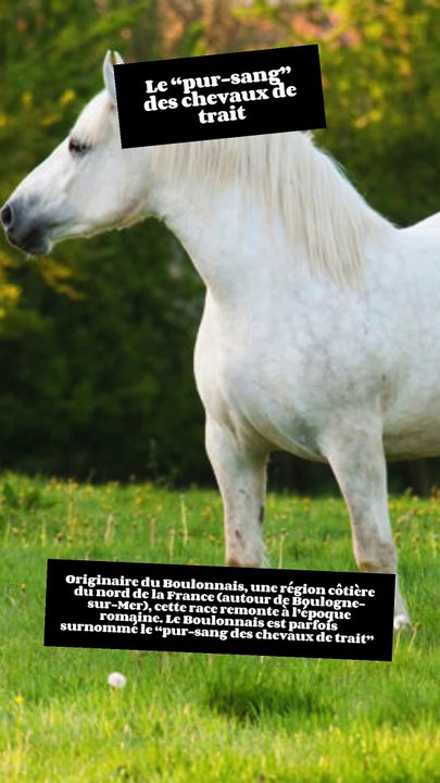 3 choses à savoir sur le Boulonnais