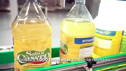 Violación en zoonosis , tres exfuncionarios condenados