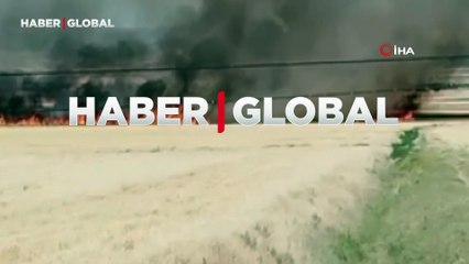 Elazığ'da yangın, 60 dönümlük ekili alanı küle çevirdi