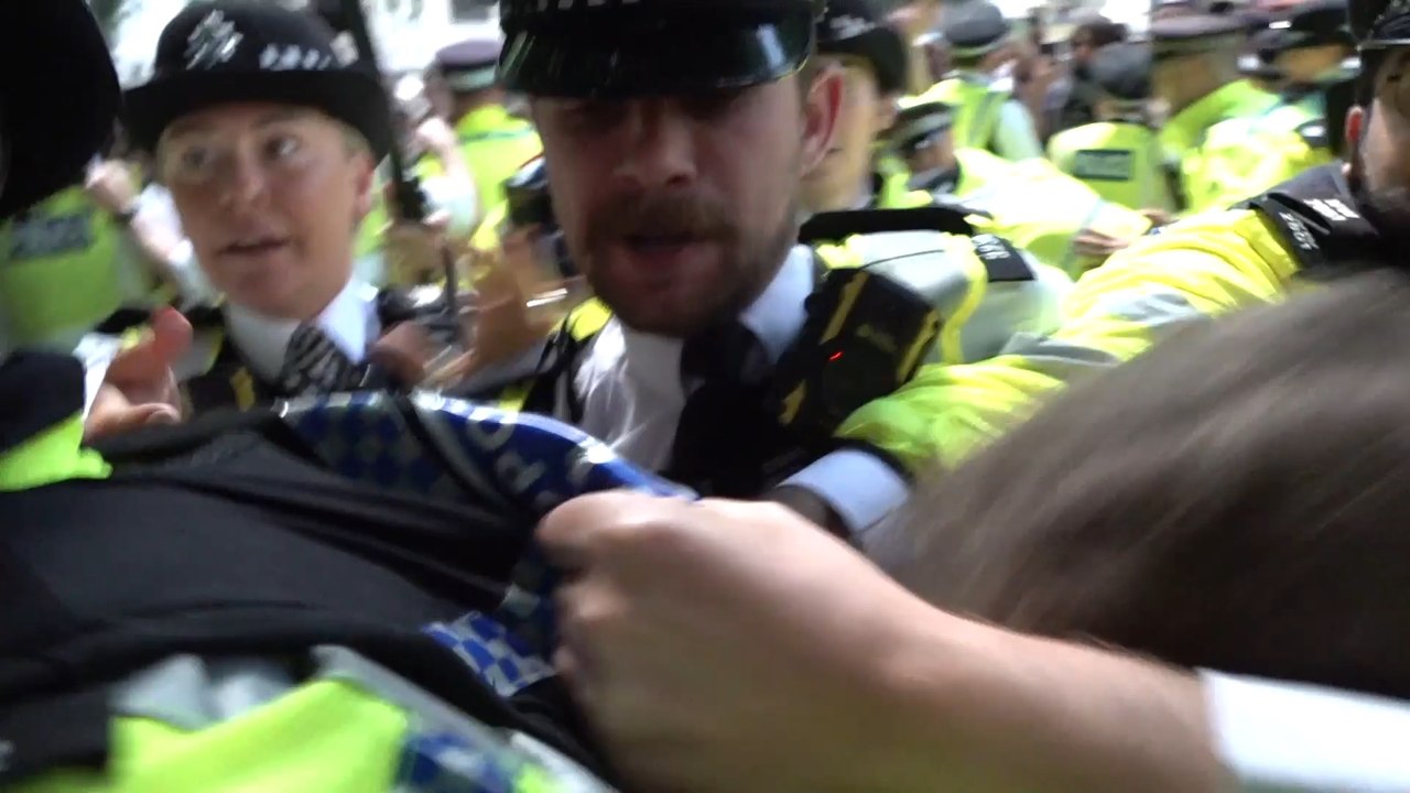 Arrests after protesters clash with police at Palestine Action demonstration