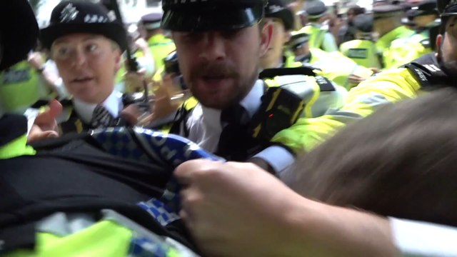 Arrests after protesters clash with police at Palestine Action demonstration