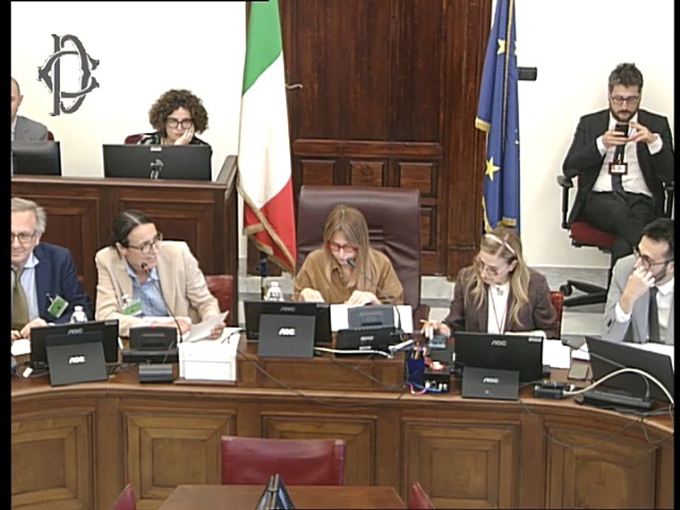 Roma - Tutela diritto d'autore - Audizione - As...