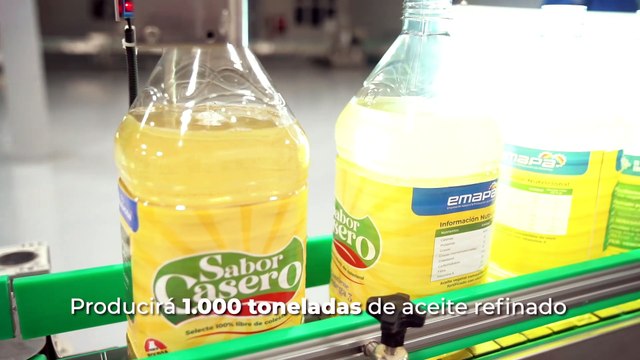 ATBEXPLICA - Productores de flores en Cochabamba pierde millones y exigen soluciones