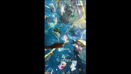 Microplásticos en el aire, el agua y los alimentos