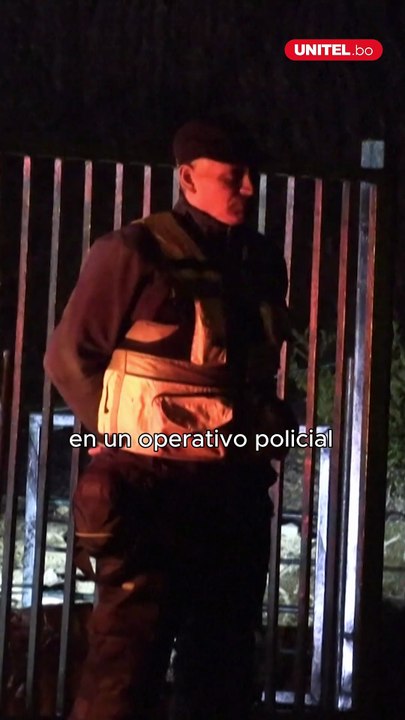 Mujer defiende a sus perros de dos canes más grandes y es atacada en plena calle en Paraguay