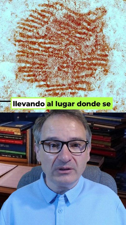 ¿HUELLA HUMANA? La HUELLA DACTILAR MÁS ANTIGUA del MUNDO