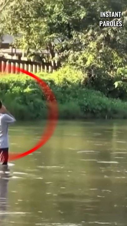 Cet homme retrouve les éléphants dont il s’est occupé après 4 années sans s’être vus