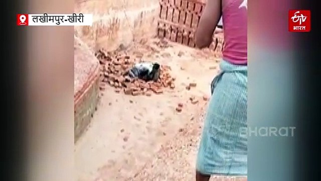 Watch : लखीमपुर खीरी में तेंदुए से अकेले भिड़ा युवक, गर्दन पकड़कर जमीन पर पटका, ग्रामीण ईंट से मारते रहे, वन दरोगा समेत चार घायल