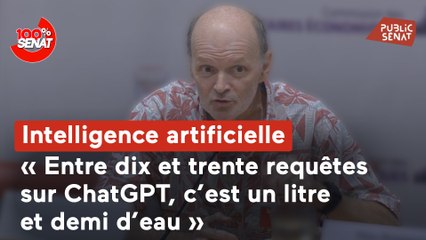 100% Sénat - Intelligence artificielle : audition du concepteur de l'assistant vocal Siri