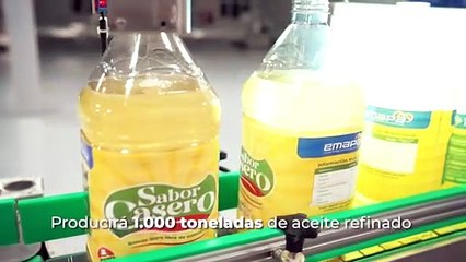 ATB CIENCIA - ¿Se encontró el Arca de Noé?