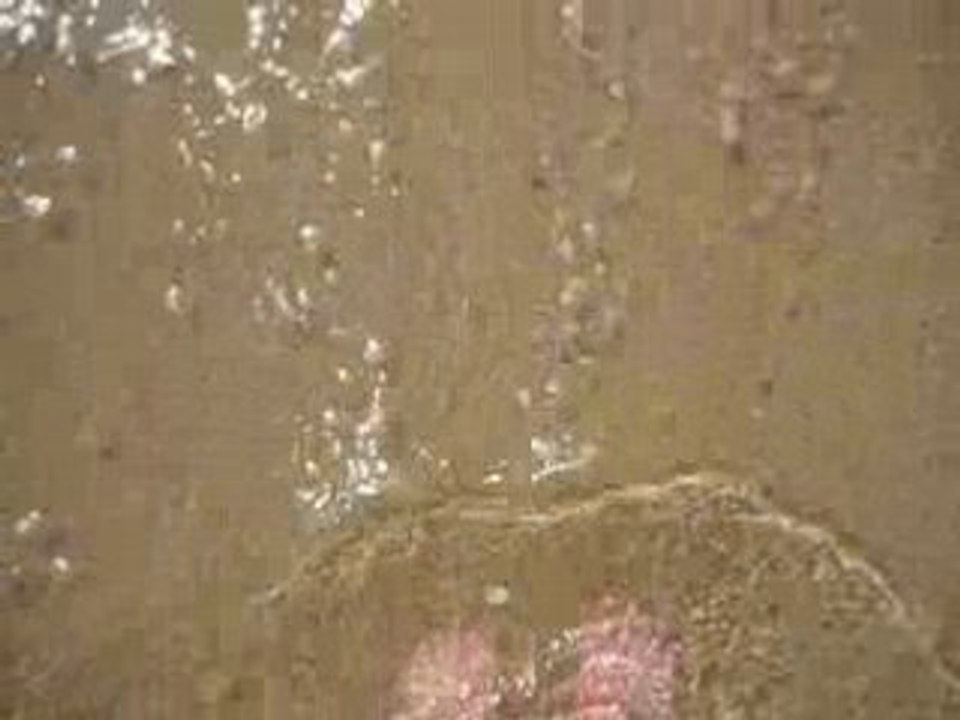les pieds dans l'eau !!!